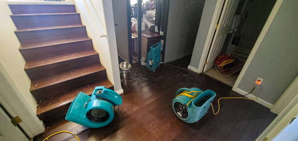 Best Water damage cleanup near me  in Rockingham, NC